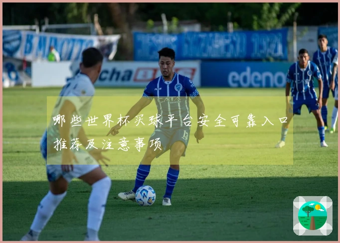 哪些世界杯买球平台安全可靠入口推荐及注意事项