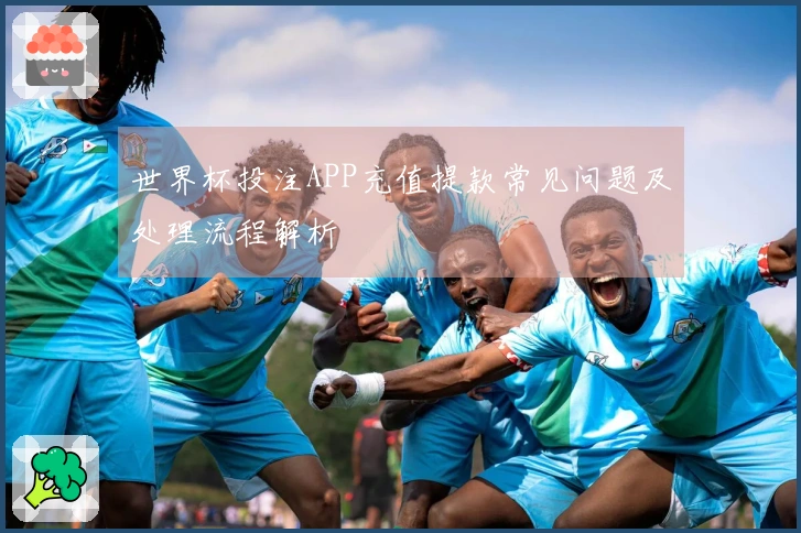 世界杯投注APP充值提款常见问题及处理流程解析