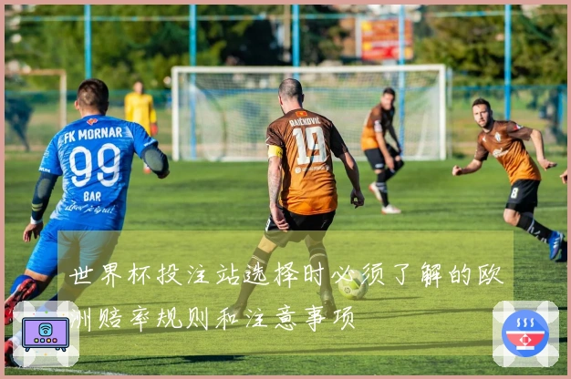 世界杯投注站选择时必须了解的欧洲赔率规则和注意事项