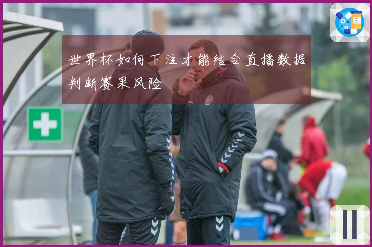 世界杯如何下注才能结合直播数据判断赛果风险
