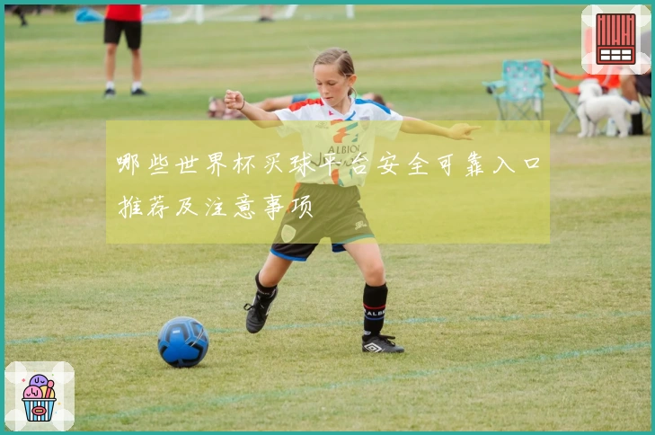 哪些世界杯买球平台安全可靠入口推荐及注意事项