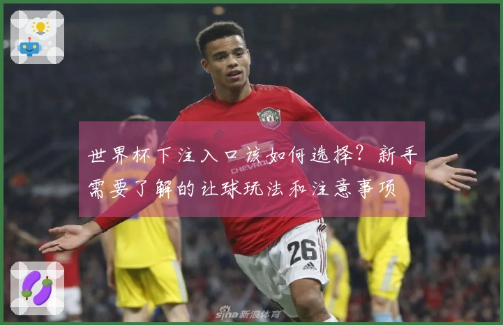 世界杯下注入口该如何选择？新手需要了解的让球玩法和注意事项