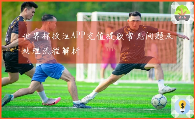 世界杯投注APP充值提款常见问题及处理流程解析